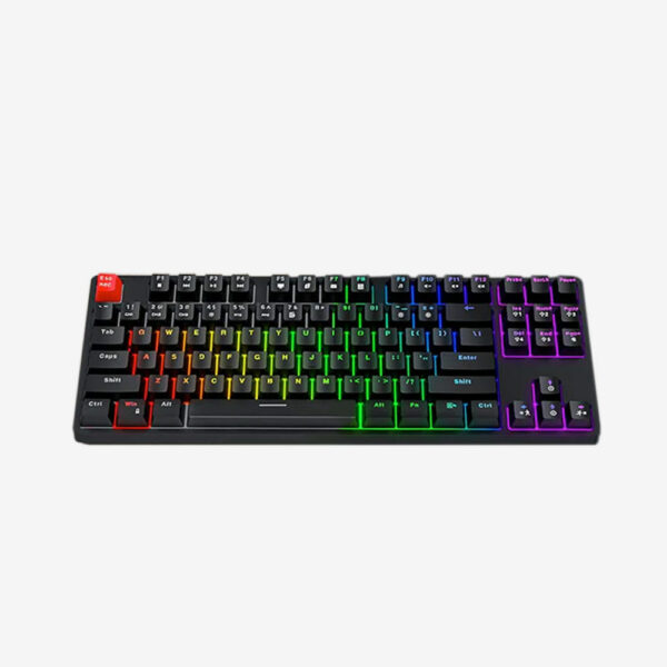 Havit KB489L TKL Mechanical Keyboard With 87 Keys Led Rainbow Backlit