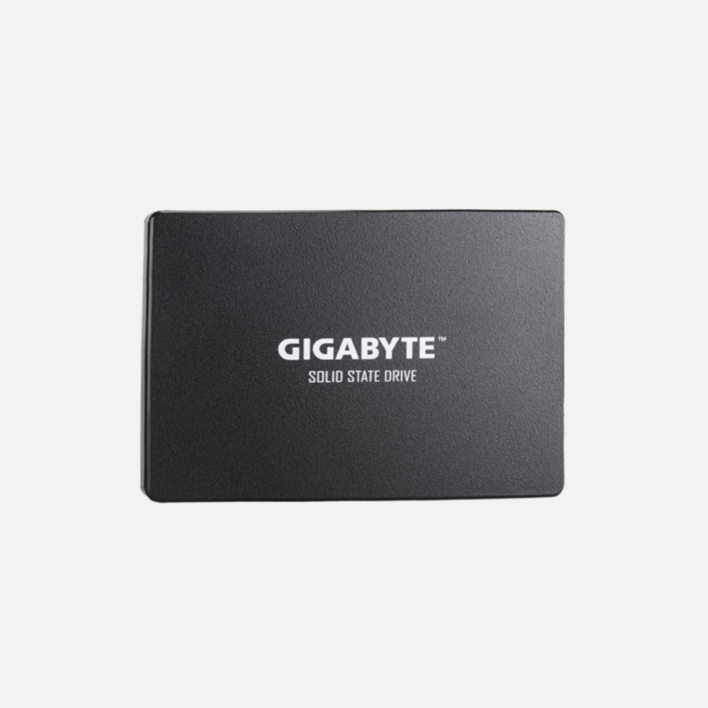 Gigabyte-256GB-GP.jpg